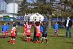 Résultats EDR du 12 mars - Clamart rugby 92 U10 Savigny mars 2016