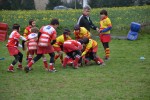Résultats Ecole de rugby du 2 avril - U10 - Clamart Rugby 92 - Montfort L'Amaury