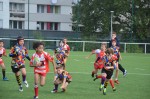 resultats-du-samedi-8-octobre-u8-clamart-rugby-92-u12-2